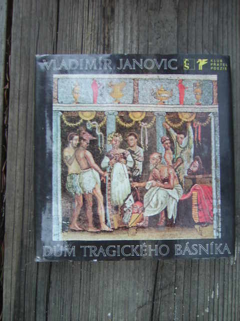 zobrazit detail knihy JANOVIC, Vladimr: DM TRAGICKHO BSNKA