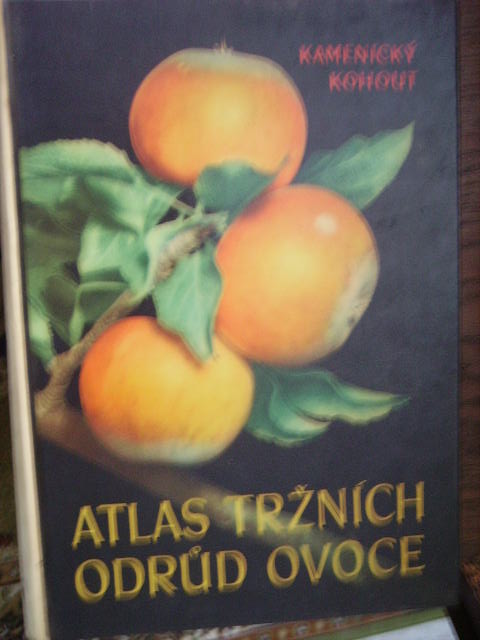 zobrazit detail knihy Kamenick,  Kohout: Atlas trnch odrd ovoce